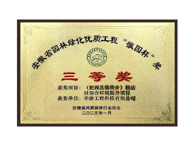 三沙荣获2025“徽园杯”奖三等奖